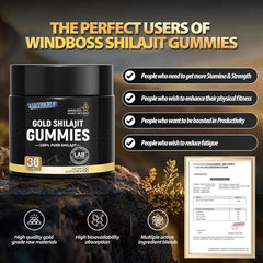 Gomitas de Shilajit puro - Salud, fuerza y bienestar - El poder del Himalaya